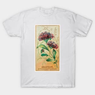 Heliotrope (Heliotropium Peruvianum) T-Shirt